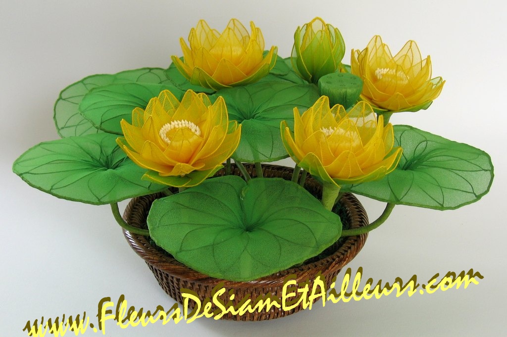 5 Lotus jaunes